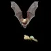 filename