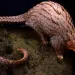 Beautiful pinky-purple pangolin with overlapping scales and a curved tail against a dark background. 
