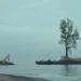 Very big tree on a barge sailing through a sea of calm blue water.