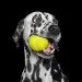 filename