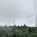 Wind turbines are shrouded in mist. Below them is lush green forest.