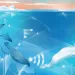Illustration of various seals and a beluga whale swimming in an icy environment, with Wifi-looking waves emanating from their heads.