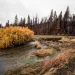 Beaver dam analog made with saplings in a stream in Tásmam Koyóm, near the Feather River.