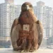 A brown bird sits on a window ledge looking at the person taking a photo of it on his phone. In the reflection, it looks as if the bird is holding the phone. In the background are tall white apartment complexes.