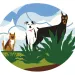 Illustration shows three dogs of different breeds looking at the camera.