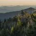 The Black Mountains from up high with forest in the foreground and a peach sky in the background.