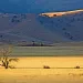 Tejon Ranch, more than a quarter-million acres of valley oak, feral pigs, and just plain wild.