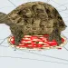 filename