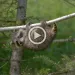 Take a cue from these furry first-timers, and get climbing!