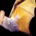 The Secret Lives of Bats by Merlin Tuttle, Houghton Mifflin Harcourt (October, 2015)