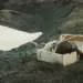 When Beavers Flew