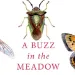 We review "A Buzz in the Meadow: The Natural History of a French Farm" by Dave Goulson.