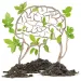 The mental health benefits of going green.