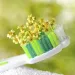Toothpaste