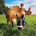 Cow manure becomes cost-effective horsepower thanks to engineering technology professor Eric Leonhardt. And his biogas is cheaper than a gallon of milk.