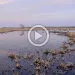 The Platte Basin Timelapse Project