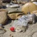 Plastic water bottle litter