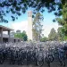 UC Santa Barbara