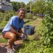 During orientation, first-year students in the College of Environmental Science and Forestry at the State University of New York (SUNY) participate in the Campus Day of Service, volunteering on an array of projects, including improving city parks.