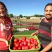 Oregon State University students Annie and Nazario, at work in one of OSU's many student- and volunteer-managed gardens. 