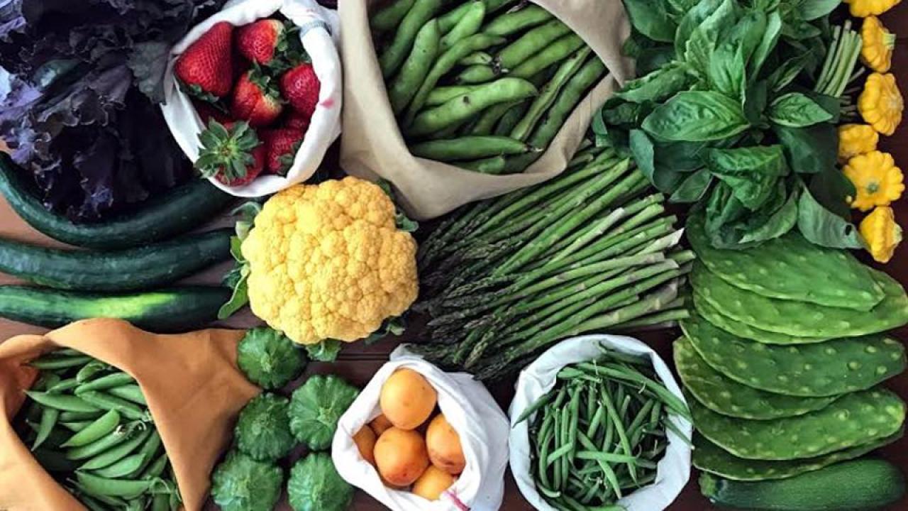 Photo credit: Anne-Marie Bonneau