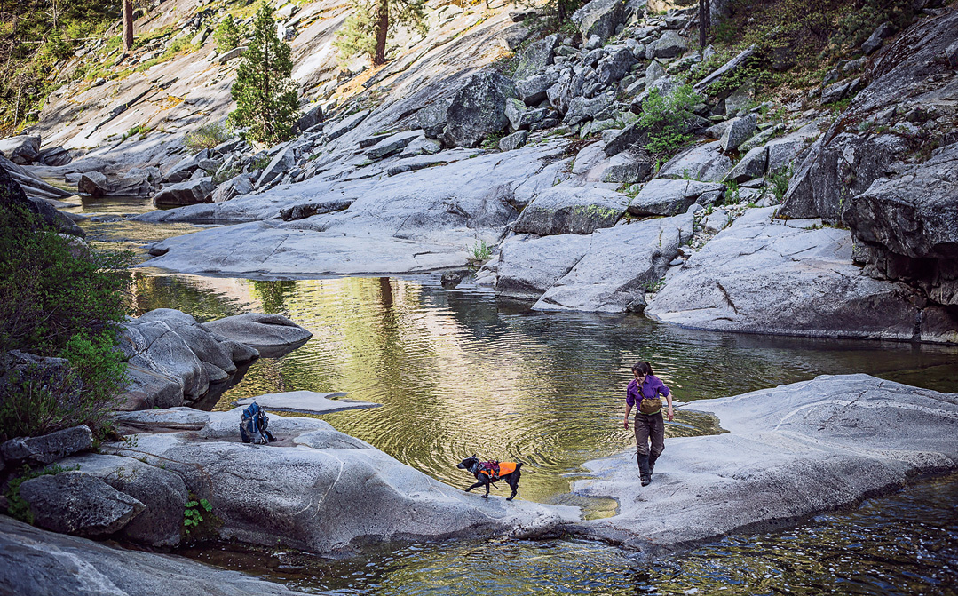 Pips and his handler, Suzie Marlow, investigate a Sierra river crossing while surveying for rare Pacific fishers.