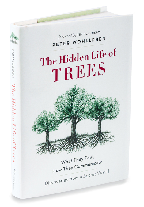 The Hidden Life of Trees by Peter Wohlleben