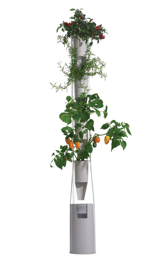 An herb garden springs from an inside Windowfarms system.
