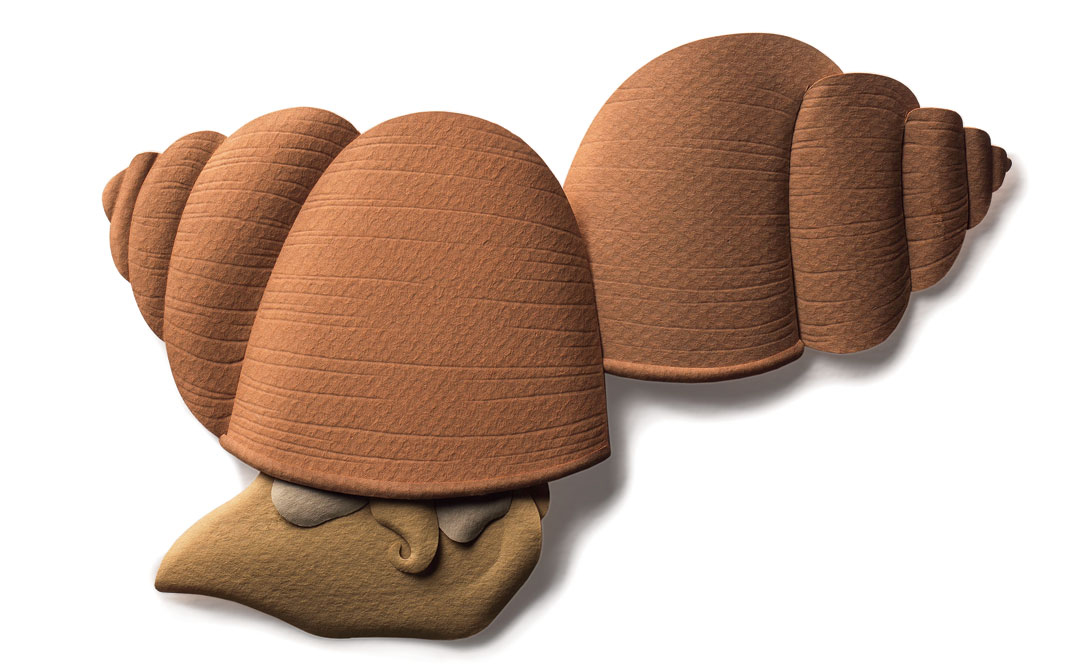 The highly invasive Chinese mystery snail makes a good chowder.