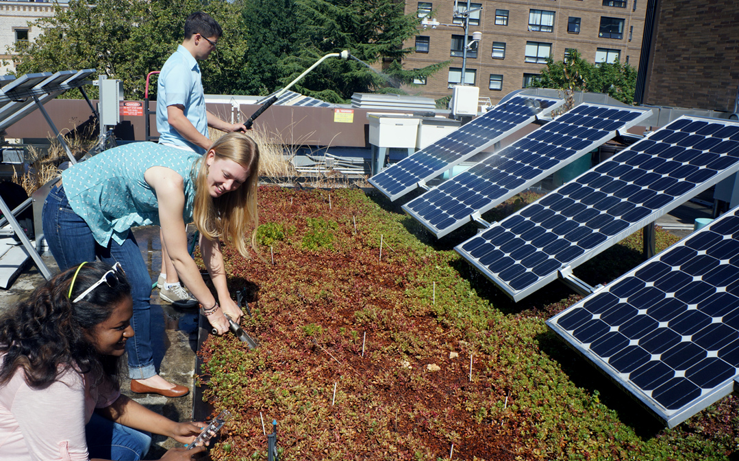 Portland State University students study the effects of combining solar panels with eco-roof technology at PSU's LEED Gold-certified Science Research and Teaching Center.