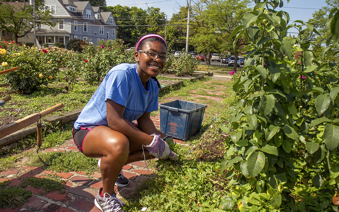 During orientation, first-year students in the College of Environmental Science and Forestry at the State University of New York (SUNY) participate in the Campus Day of Service, volunteering on an array of projects, including improving city parks.