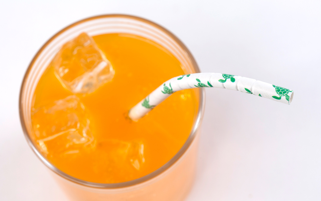 Aardvark Sea Turtle Eco-Flex paper straws