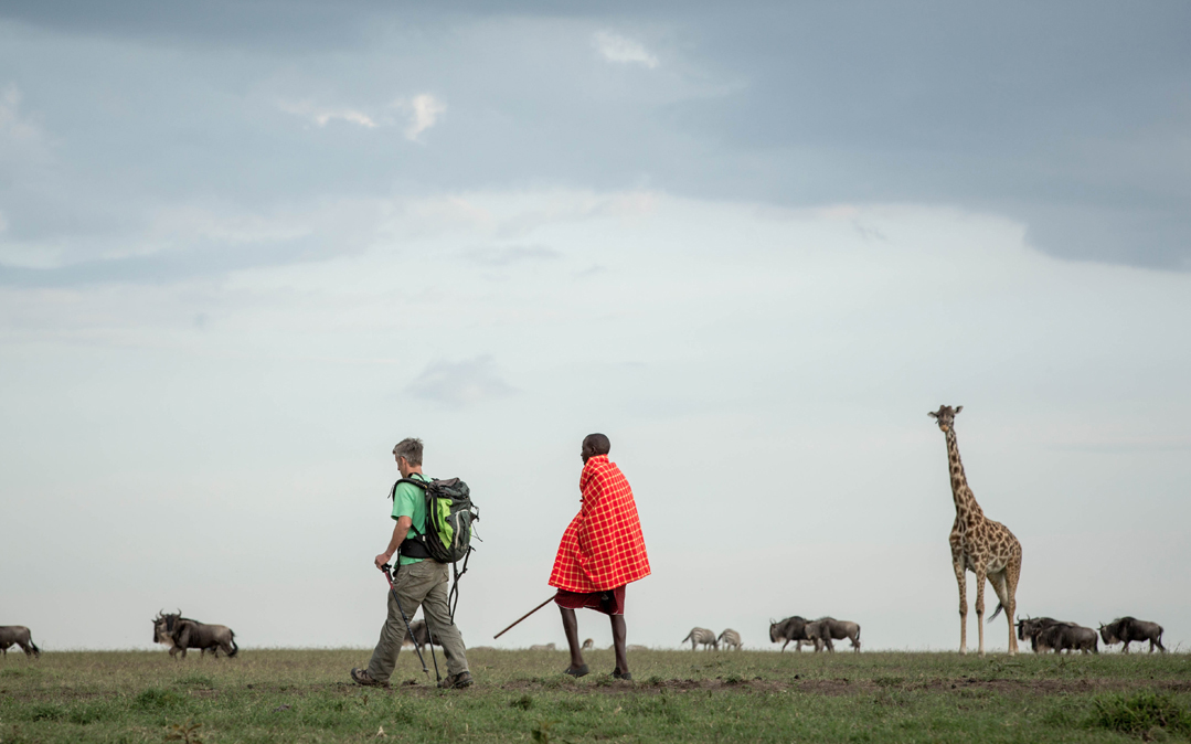 Stuart Butler and Josphat Mako walk past giraffes and wildebeests as they cross the Mara North Conservancy. 