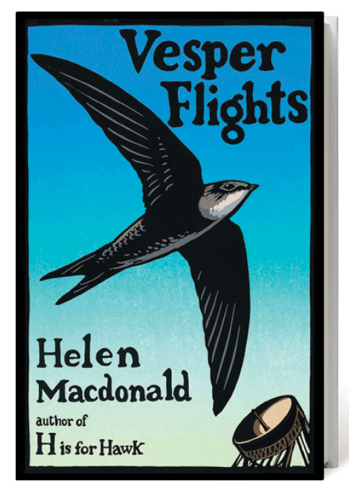 Vesper Flights cover