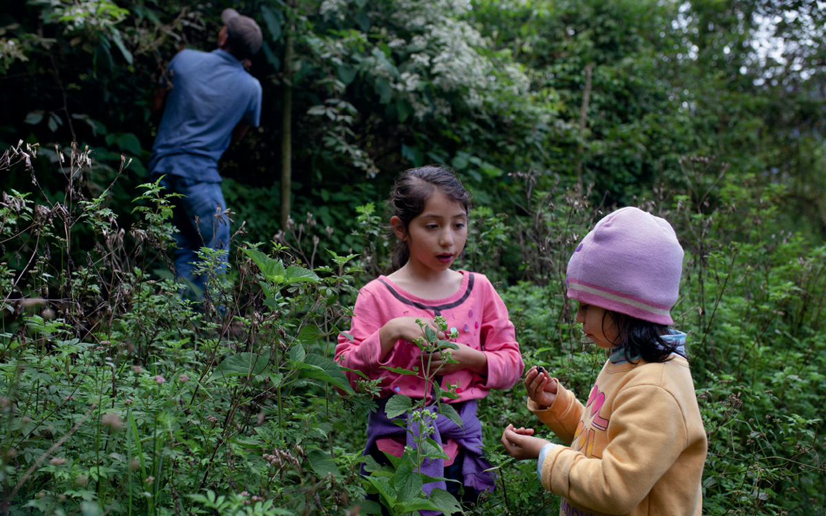 Yeni collects wild blackberries with her sister, Jerlin.