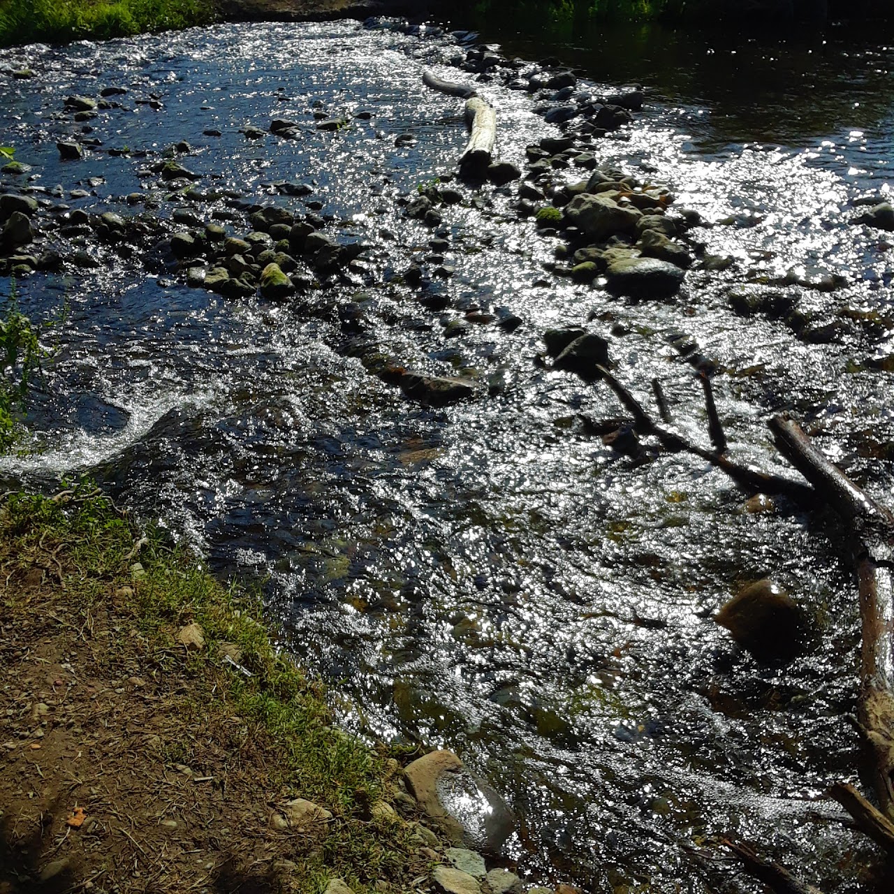 A close up photo of a gently rolling stream in the spring season in southern California.