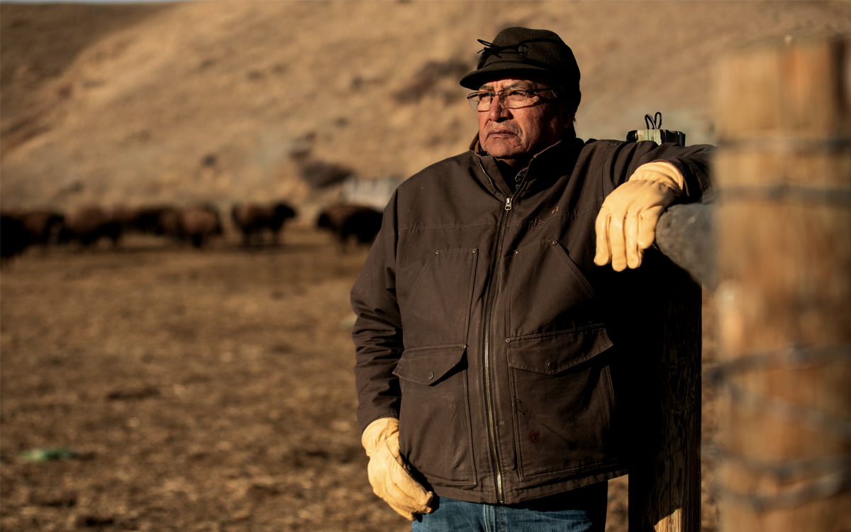 Ervin Carlson, wearing a dark coat and gloves, leans against a fence and looks into the distance. Some bison are behind him.
