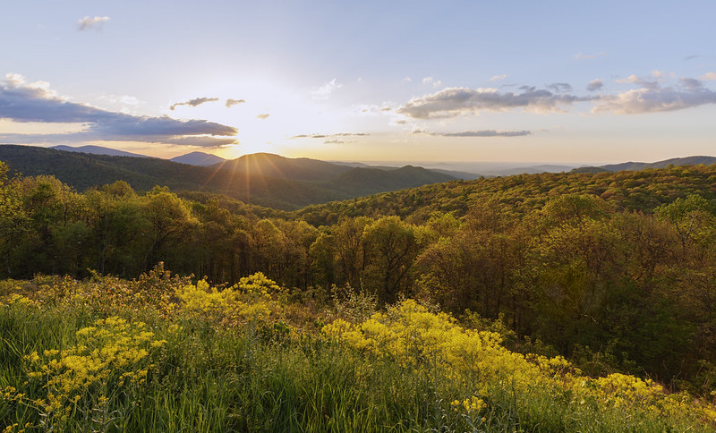 Shenandoah National Park vista