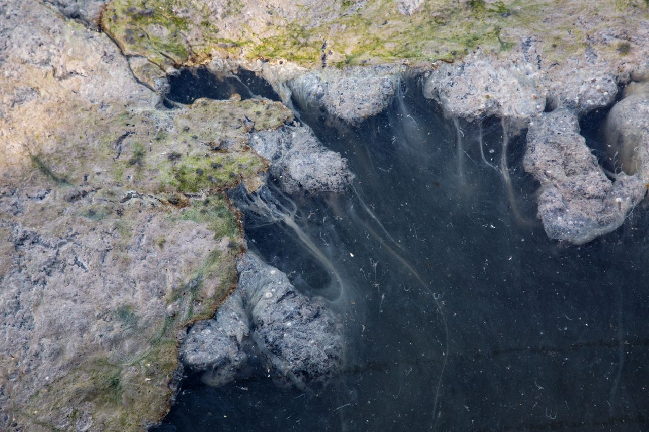 Aguas contaminadas de la Represa de El Ahogado por Seila Montes