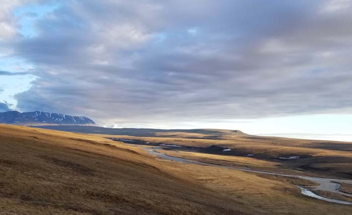 Photo by Loren Blackford