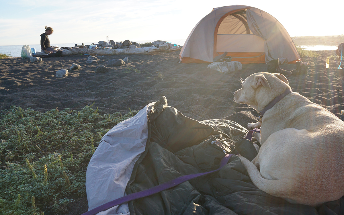 Backpacking with a canine companion has its ups and downs