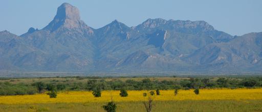 Photo: Fish and Wildlife Service