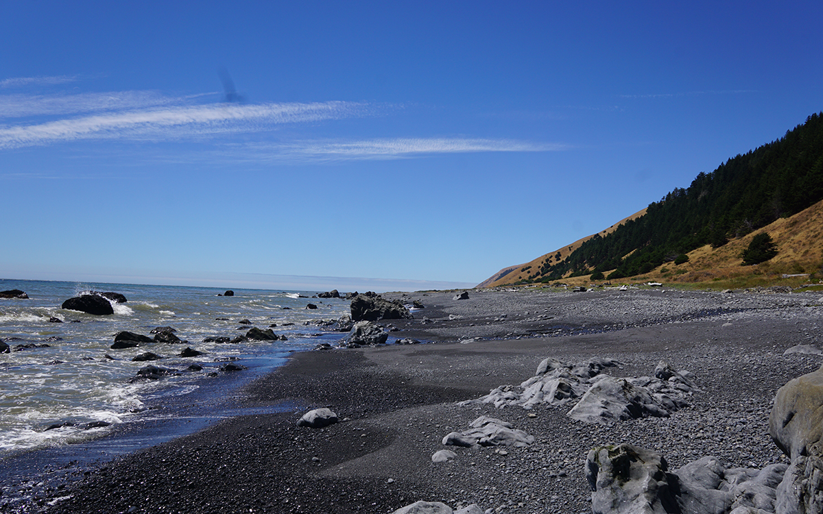 Backpacking with a canine companion has its ups and downs