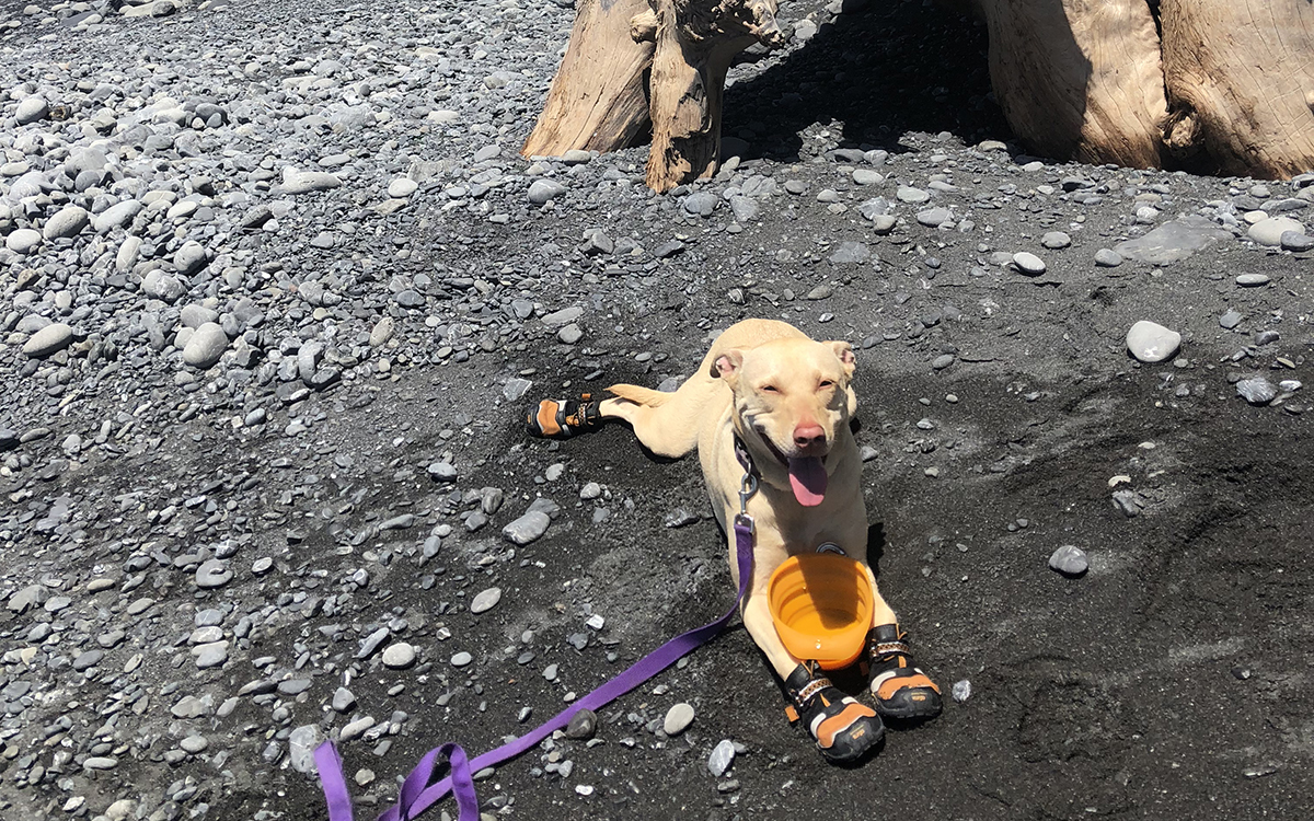 Backpacking with a canine companion has its ups and downs