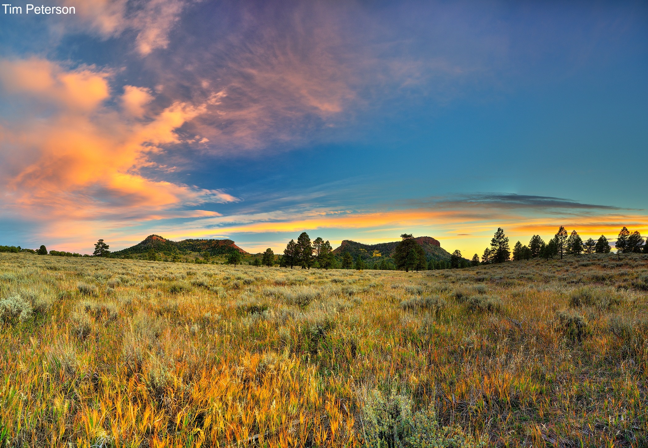 Bears Ears at sunset
