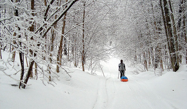 Deep woods and fresh snow in the state's northern reaches.