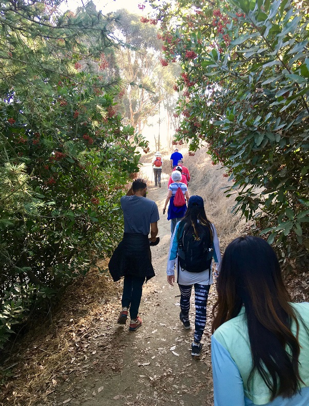 A string of hikers make their way down a path in Kenneth Hahn State Park.