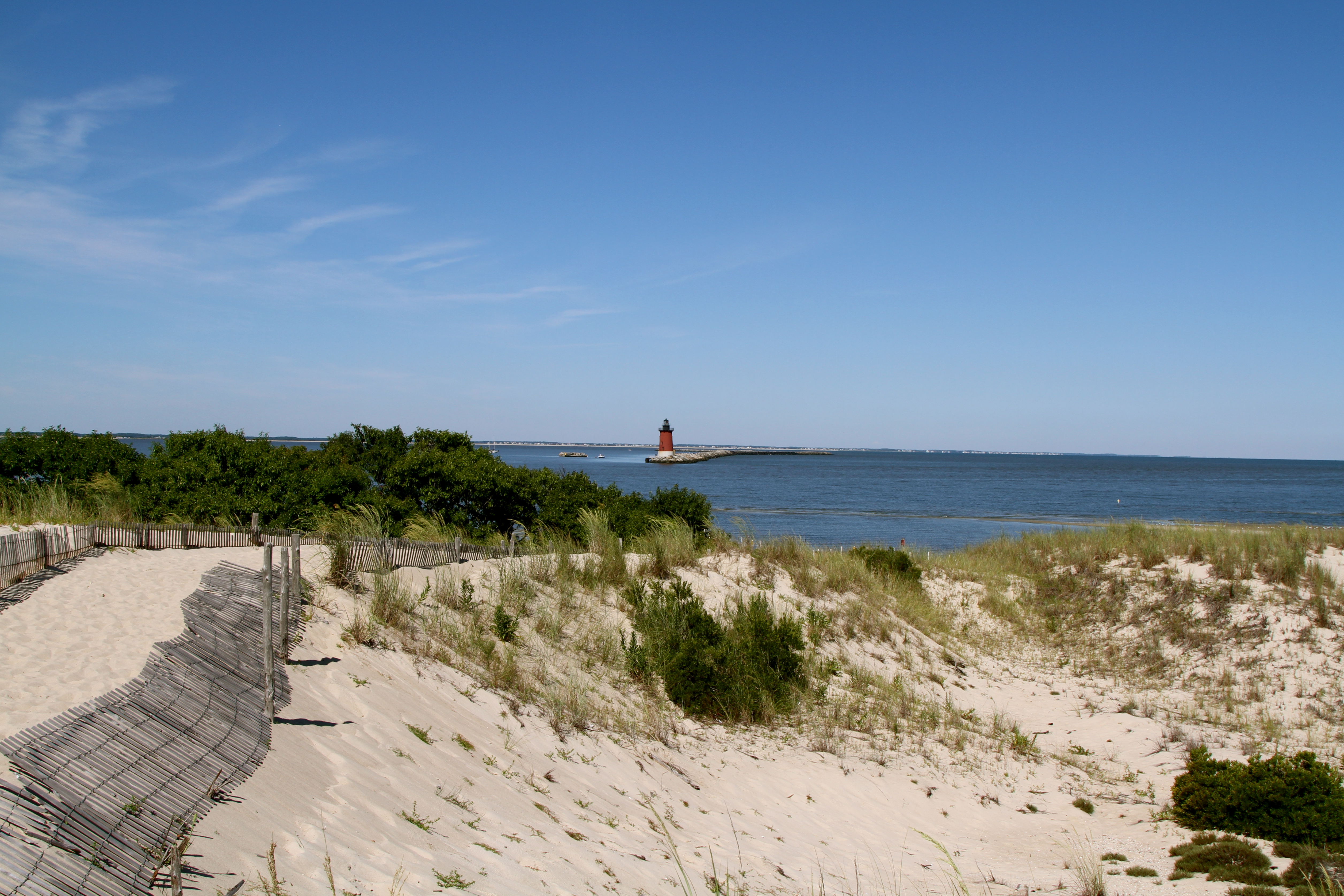Cape Henlopen in Delaware