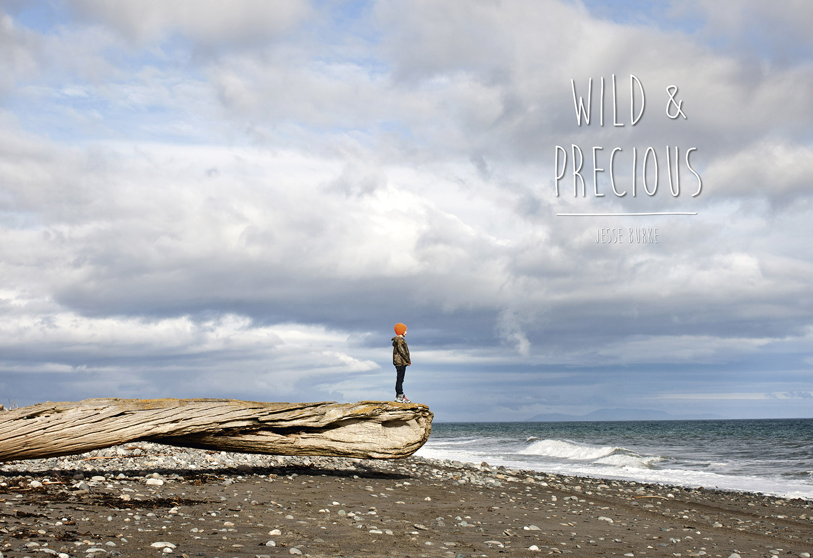 Wild &amp; Precious Book Cover