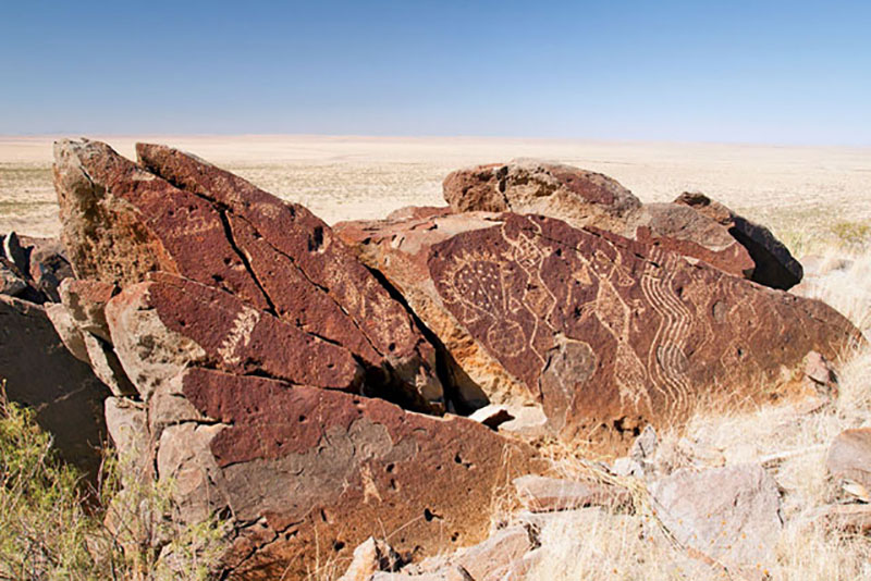 Otero Mesa's petroglyphs | Darren Huski